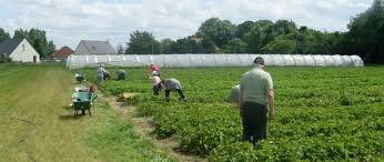 Visiter Le Jardin De Busnes 2017 Evenement Sortir Hauts De France