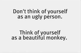 50 Positive Quotes To Make You Feel Happy Good Happy Quotes Jokes Quotes Happy Life Quotes