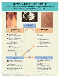 Scabies Application Of The Novel Identify Isolate Inform Tool For Detection And Management The Western Journal Of Emergency Medicine