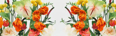 Wholesale wedding and event flowers seattle wholesale florist : Wholesale Flowers Bulk Flowers Washington Cascade Floral Wholesale