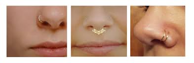 (pull it down if you started with it above the piercing and push it up if you started with it below the piercing.) nose screws: Parity How To Put In A Ball Hoop Nose Ring Up To 64 Off