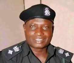 THE NIGERIA POLICE MOBILE FORCE :-):MOPOL RUGGED