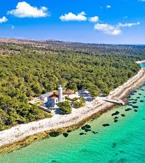 Image result for Viridivia