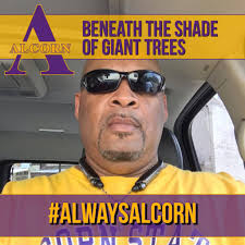 1.56 Updates have been sent out for all mods! The 379 update includes but  is not limited to v2.1 -Updated Mods Studio 2 xml file -Fixed missing  "wheel particle" hookups -Fixed missing "