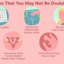 Pregnant around six to eight days after ovulation, but you have. How To Detect Pregnancy Or Ovulation On Your Bbt Chart