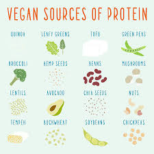 Prince Quotes Vegan Google Search Vegan Facts Going Vegan Vegan Challenge
