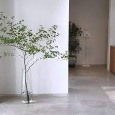 don t remove caption in 2020 green plants plants colorful flowers