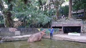 Peringatan isra mikraj peringatan israk miraj sman 1 perbaungan di rangkai dengan pemberian santunan kepada. Taman Hewan Perbaungan Rahmat Zoo Park Kebun Binatang Di Perbaungan Hutan Tropis Merupakan Ekosistem Yang Sangat Kaya Dan Ketika Memasuki Hutan Anda Pasti Ingin Melihat Satwa Apa Saja
