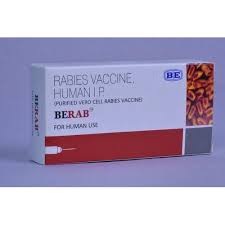 The 'vero' lineage was isolated from kidney epithelial cells extracted from an african green monkey (chlorocebus sp.; Purified Vero Cell Rabies Vaccine Packaging Type Box Rs 256 Piece Id 20496296333