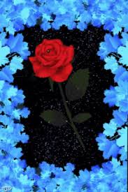 Check spelling or type a new query. Blue Red Rose Gifs Tenor
