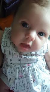 Hi I'm new here! This is one of my babies, Ducky, modeling his sombrero. I  want to see your cats in clothes!