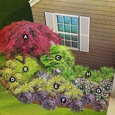 Shade Plants For Pacific Coast Region Including Japanese Maple Creeping Jenny Japanese La Japanese Garden Plants Japanese Maple Garden Japanese Garden Design