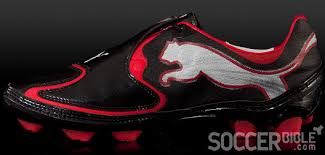 Image result for Puma 10