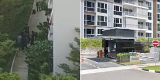 The man has been identified as mr tay rui hao, 38. Murder Or Suicide 18 Year Old Teen Found Dead At Punggol Condo Nestia