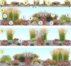 Best Landscape Plants Grasseslandscapingideas Landscape Design Plans Ornamental Grass Landscape Garden Design Layout