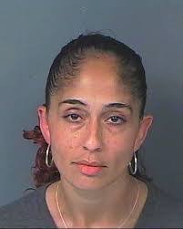 Danielle Ditucci's Instagram, Twitter & Facebook