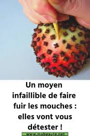 Un Moyen Infaillible De Faire Fuir Les Mouches Elles Vont Vous Detester Faire Fuir Les Mouches Mouches Piege A Mouche