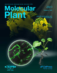 Check spelling or type a new query. Special Issues Molecular Plant