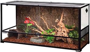 Repti zoo 10 gallon reptile tank glass natural cages terrarium 20 x 12 x 10 sliding screen top for reptile hamster hedgehog small animals. 4 Best Bearded Dragon Terrariums Tanks Cages Everything Reptiles