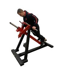standing chest press machine plate loaded professional gym equipment rear delt gym