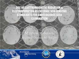 USE OF ELECTROMAGNETIC RADIATION & ELECTROPORATION AS EXTERNAL NON-INVASIVE  STIMULANTS FOR SEED GERMINATION