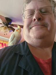 Lost cockatiel in Banning, California