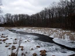 Snowy River In Pinckney State Recreation Area Semiwild Org Recreation Area Natural Landmarks Areas