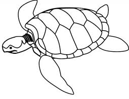The spruce / kelly miller halloween coloring pages can be fun for younger kids, older kids, and even adults. Sea Turtle Endangered Coloring Page Download Print Online Coloring Pages For Free Color Nimbus