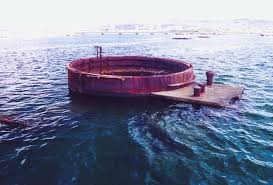 inside the uss arizona memorial