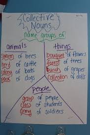 collective nouns anchor chart collective nouns noun