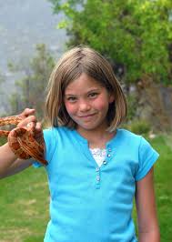In a lot of ways, a pet like a cat or a dog is very much like a child because responsible owners care for their pets and make su. Best Pet For Kids How To Choose
