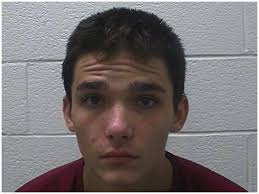 WCSO: Jonesborough teen arrested after running from authorities, 'almost  striking a construction worker'