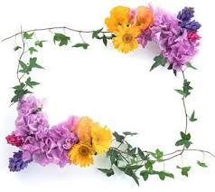 براويز صور 2020 اطارات مزخرفة للصور In 2021 Free Photo Frames Flower Frame Flower Photos