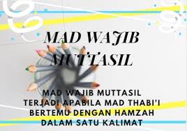We did not find results for: Tolong Tuliskan 5 Contoh Bacaan Mad Wajib Muttasil Beserta Ayat Dan Suratnya Brainly Co Id