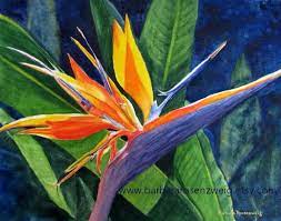 Bird Of Paradise Watercolor Painting Flower Print Birthday Etsy Paradise Painting Flower Prints Art Watercolor Flowers