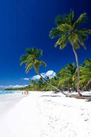 Check spelling or type a new query. Parasola Palmenstrand Saona Parque Nacional Del Este Kunstdruck Glasbild