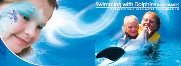 Мармарис блогер #мармарис #блогер #желтый #улица #обои #marmaries. Dolphin Park Marmaris Home Facebook