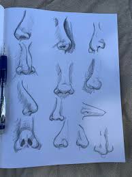 The picture above clearly conveys how this type of nose has the characteristic view of the beak of a hawk. I Did A Nose Study To Learn How To Draw Different Types Of Noses Learntodraw