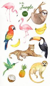 Epingle Par Madeleine Sur Nodefest Dessin Jungle Flamant Rose Dessin Images Jungle