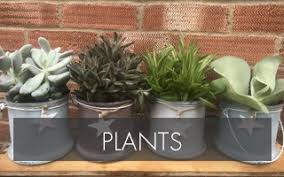 Check spelling or type a new query. Howes Florist Florist In Buckingham Flower Delivery Subscription Florals Intimate Weddings