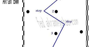 كيفية استخراج رخصة قيادة خاصة شرح مصر موتورز مجتمع السيارات chart line chart diagram