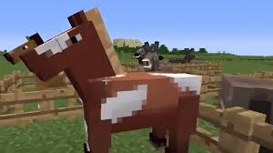 Horses are incredibly useful in minecraft, but you do have to tame them before riding them. X Lirhx8hkmuam