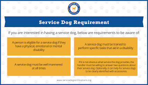 Do i qualify for a service dog? Service Dog Requirements Service Dog Certifications