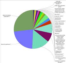 Pie Chart Presenting An Overview Of The Significant Go Terms