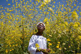 Documentary from now through thursday, april 29th, nearly 50% goes directly back to enzian in an effort to support us. The Best Of The Oscar Nominated Documentary Shorts The New Yorker