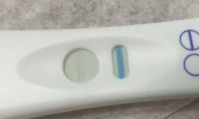 Evap Line Vs Faint Positive Knowing The Difference Crying Toddlers
