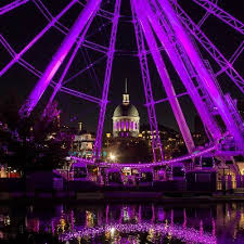 Afaf Mousa (@Afaf92349192)