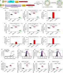Rbd rbd основная информация годы 2004—2008 страна мексика откуда мехико состав anahi, dulce maria, maite perroni,alfonso herrera, christian chávez, christopher uckermann. A Novel Receptor Binding Domain Rbd Based Mrna Vaccine Against Sars Cov 2 Cell Research