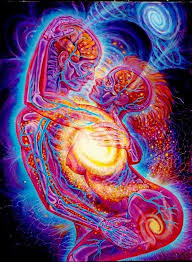 Alex Grey Artist Alex Gray Art Grey Art Art