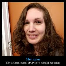 CDH International Hawaii Ambassador Denise Lin DeShetler